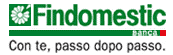 findomestic-home
